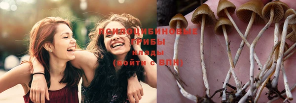 марки nbome Карпинск