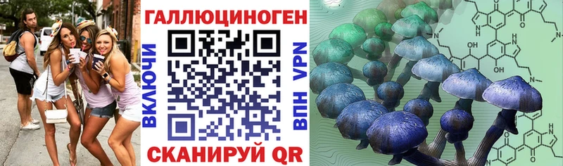 Галлюциногенные грибы Cubensis Хилок